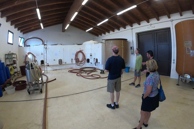 Small-Group Food and Wine Tour from Cagliari - Pickup, Timing, and What 3 to 4 Hours Really Means