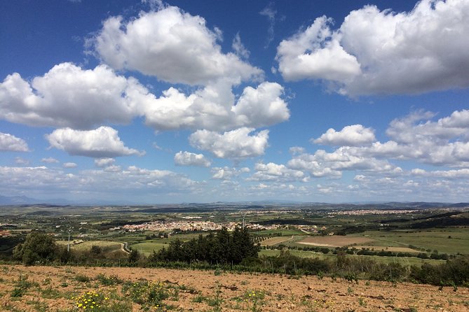Small-Group Food and Wine Tour from Cagliari - Soleminis: The Village That Puts Grapes and Daily Life in the Same Frame