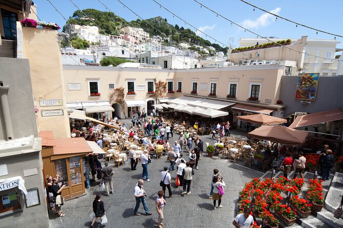 Small Group Tour of Capri & Blue Grotto from Naples and Sorrento - Price and Value Check: Is $199.62 a Fair Deal?