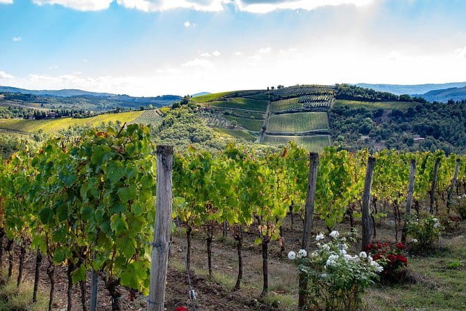 SMALL-GROUP Wine Safaris: Tuscan Wine Tasting Tours from Florence - Key things to know before you go