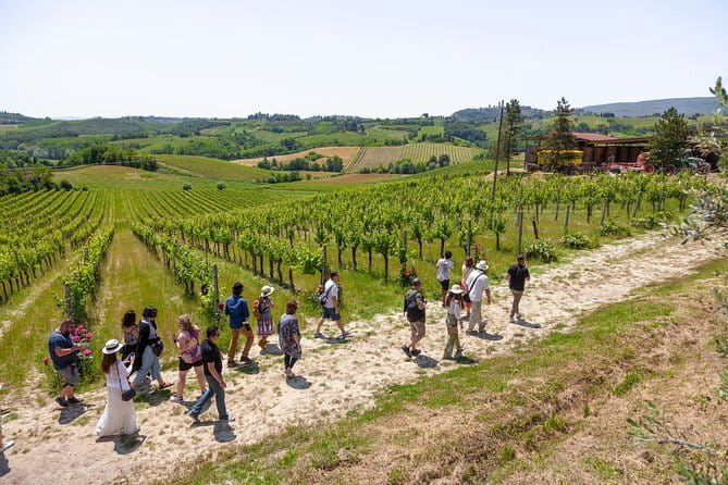 SMALL-GROUP Wine Safaris: Tuscan Wine Tasting Tours from Florence - Full-Day Val d’Orcia Safari: Brunello aging lessons and Pienza pecorino pairings