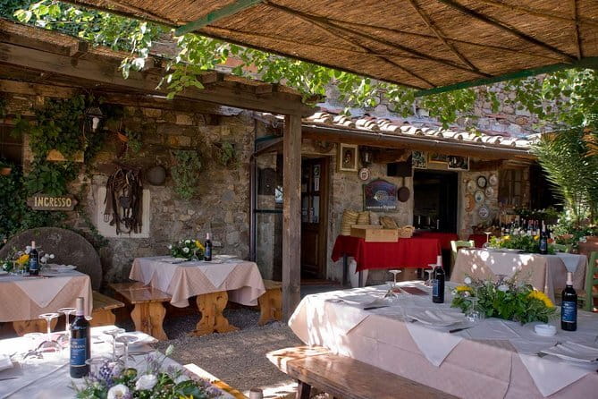SMALL-GROUP Wine Safaris: Tuscan Wine Tasting Tours from Florence - Underground cellar tours: where the wine aging story turns real