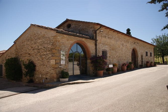 Small-Group Wine Tasting Experience in the Tuscan Countryside - Winery Stop One: Vineyards, Production Areas, and Olive Oil