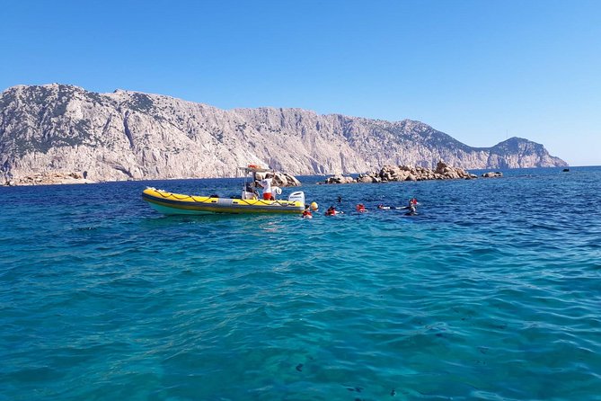 Snorkeling marine protected area Tavolara - Meeting in Golfo Aranci, then heading out for a real sea day