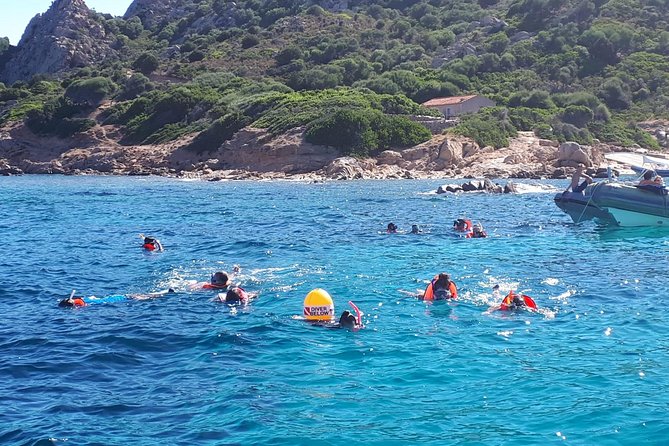 Snorkeling marine protected area Tavolara - Stop-by-stop: wreck, natural pools, Punta Spalmatore, and the Tavolara wall