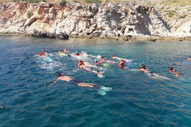Snorkeling marine protected area Tavolara - Who this tour is best for, and who should think twice