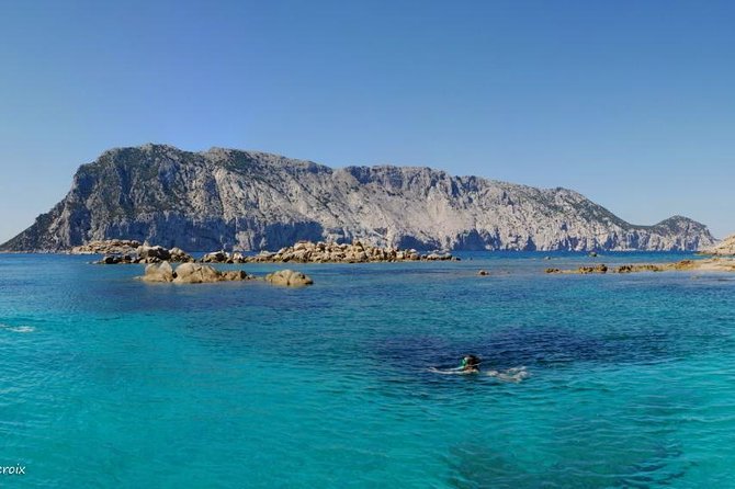 Snorkeling marine protected area Tavolara - Price and value for $84.69 per person in 4 hours
