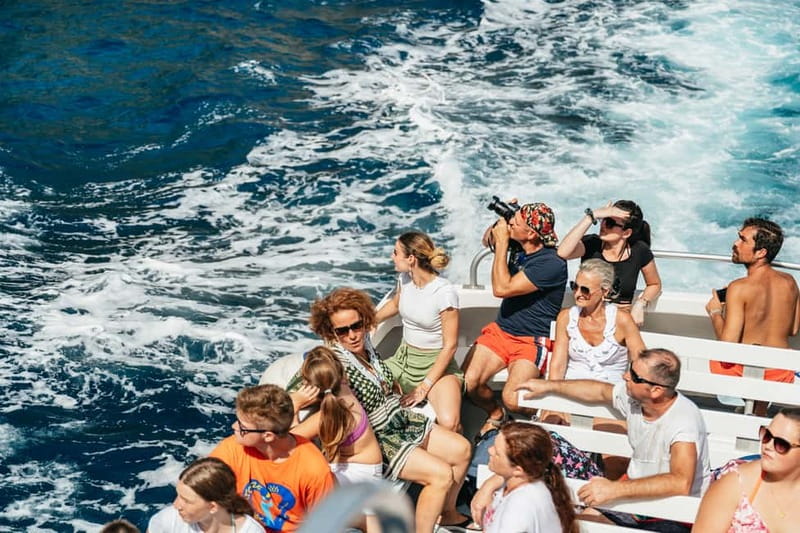 Sorrento: Coast and Capri Boat Trip with Limoncello Tasting - Who this Capri boat trip is best for