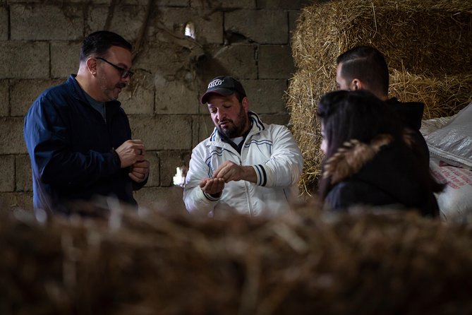 Sorrento Farm by Tuk Tuk: Cheese, Limoncello & Hands-On Pizza - Hands-on Neapolitan pizza class: dough timing, instructor cues, and wood-fire speed
