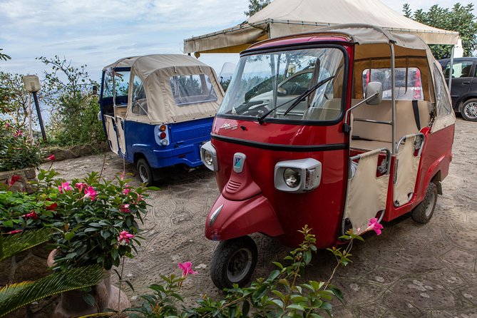 Sorrento Farm by Tuk Tuk: Cheese, Limoncello & Hands-On Pizza - Price and value: what $211 buys beyond the food photos