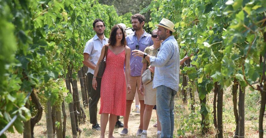 Sorrento: Farm Tour with Cheese Tasting & Pizza Making Class - Key highlights to know before you go