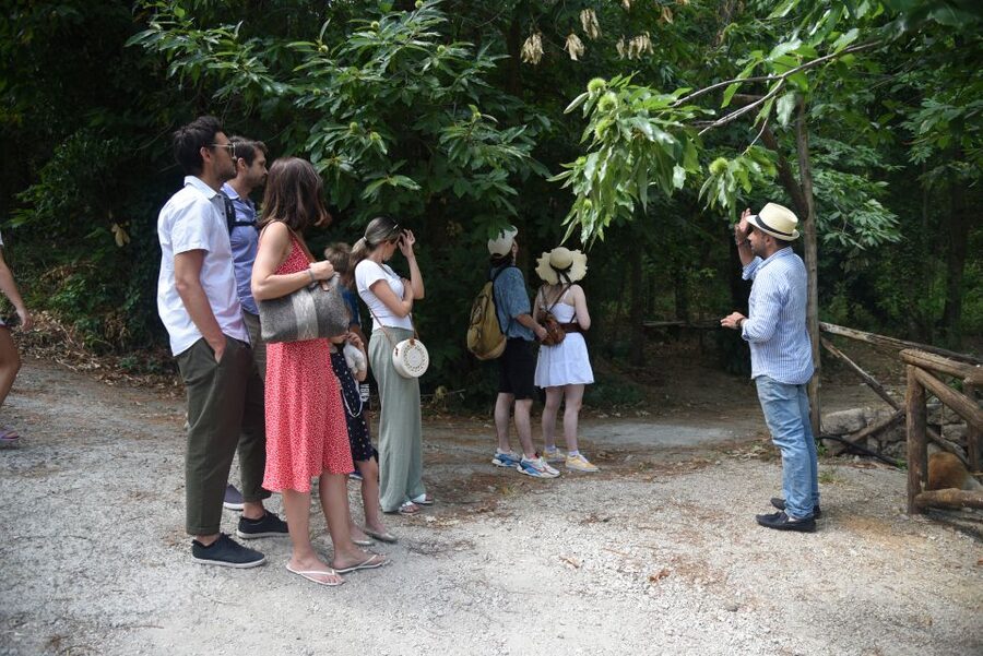 Sorrento: Farm Tour with Cheese Tasting & Pizza Making Class - Wine, Limoncello, and the Family-Run Touch That Makes It More Than Food