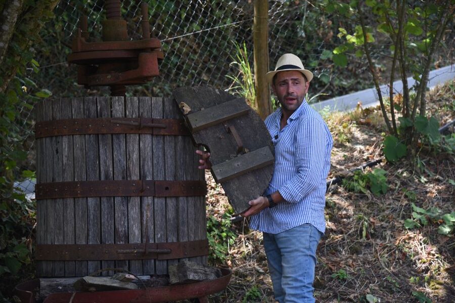 Sorrento: Farm Tour with Cheese Tasting & Pizza Making Class - Group Size, Kids, and Photos: Easygoing Social Without the Awkwardness