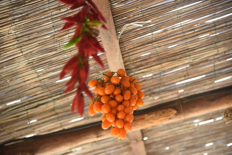 Sorrento: Pizza Lesson, Wine, and Limoncello at a Local Farm - The farmhouse dinner: what you eat after making your pizza