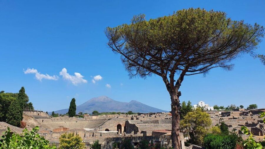Sorrento: Skip-the-Line Pompeii Express Tour by Train - What You Should Bring (Comfort Matters More Than You Think)