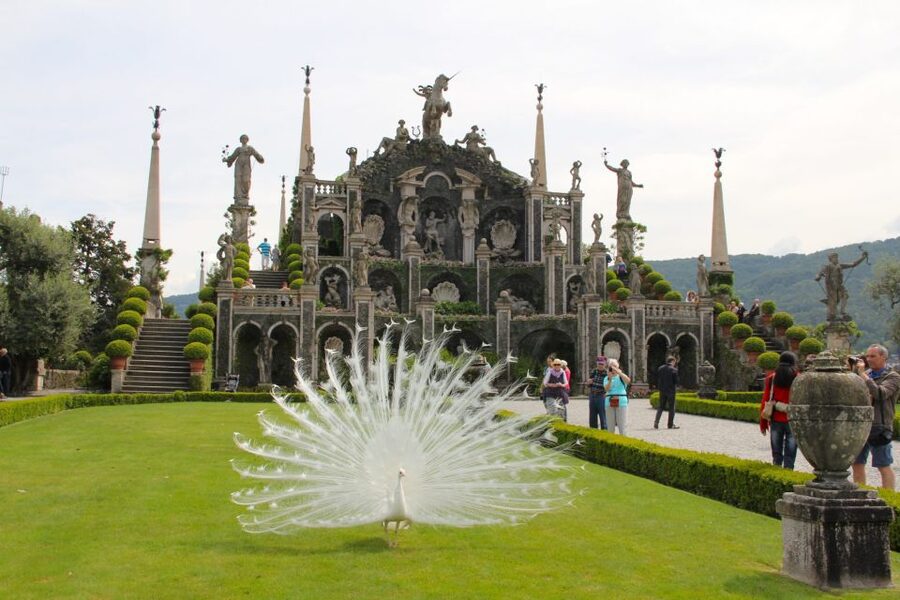Stresa: 3 Borromean Islands Boat Tour - Who Should Book This Tour, and Who Might Want Something Different