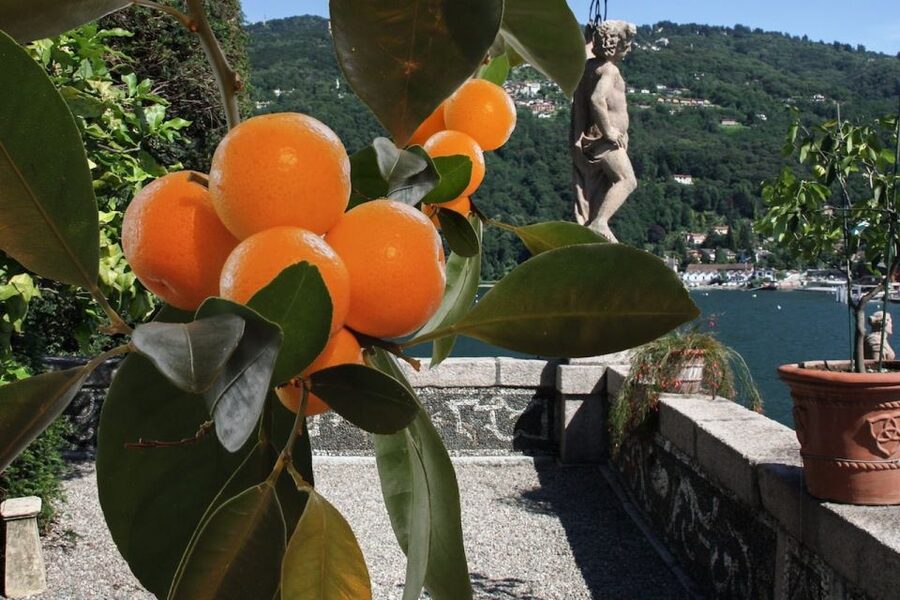 Stresa: Isola Bella Hop-on Hop-off Boat Tour - The Boat Cruise Views That Actually Matter