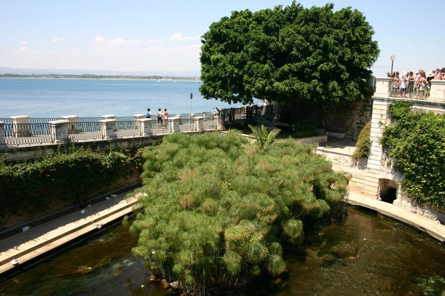 Syracuse: Ortigia Private Walking Tour - Archimedes Square and the Fountain of Diana