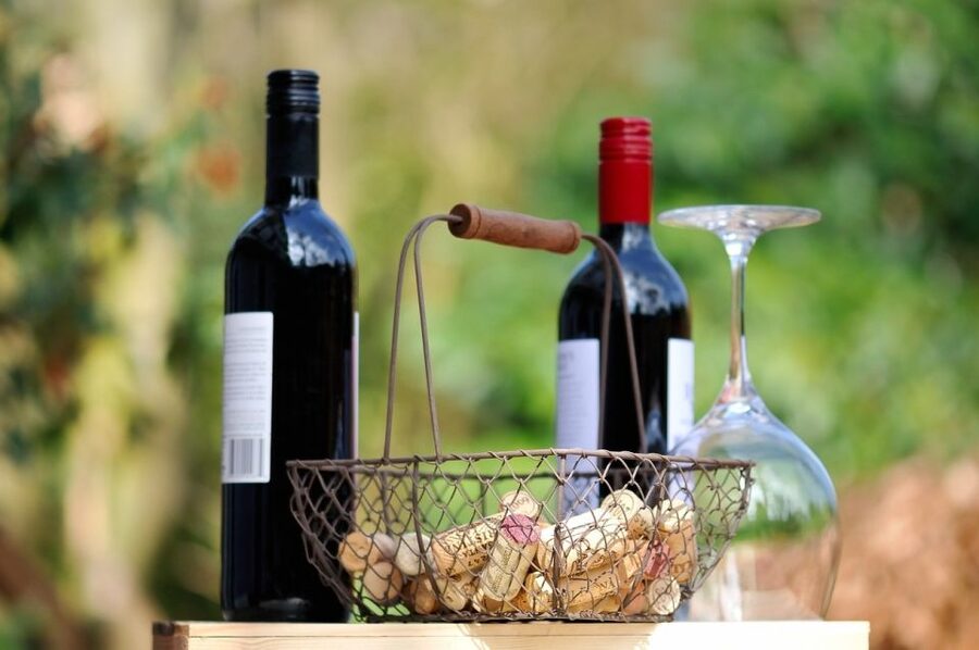 Taormina: Guided Etna Wine Tasting Half-Day Tour - Pace and Comfort: How the Day Feels in Real Life