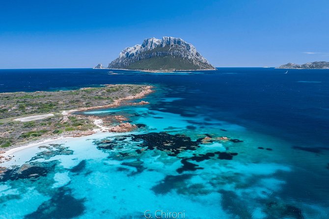 Tavolara Boat Tour and Snorkeling - Key things that make this tour worth your time