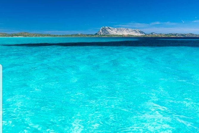 Tavolara Boat Tour and Snorkeling - Price and what you actually get for $78.64