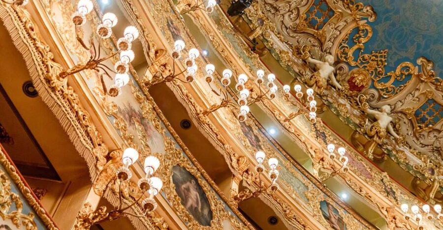 The Majestic Teatro La Fenice: Guided Tour in Venice - Meeting in front of Teatro La Fenice, then stepping inside fast