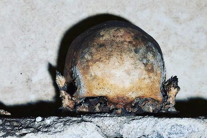 The Skull with the Ears: the Cult of the Dead in the Church of S. Luciella - Key highlights to know before you go