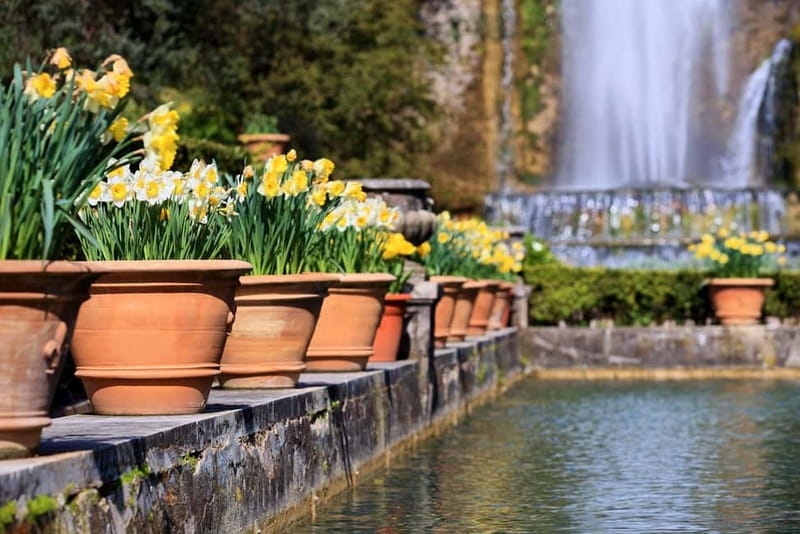 Tivoli: Villa D'Este Entry Ticket and App Audio Guide - Pirro Ligorio and Ippolito II d’Este: the architecture behind the magic