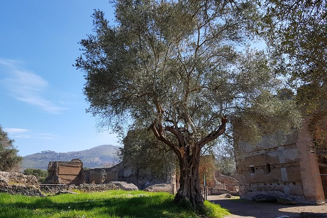 Tivoli Villas Full Day Trip From Rome with Lunch - Villa d’Este: frescoes, formal gardens, and fountain timing