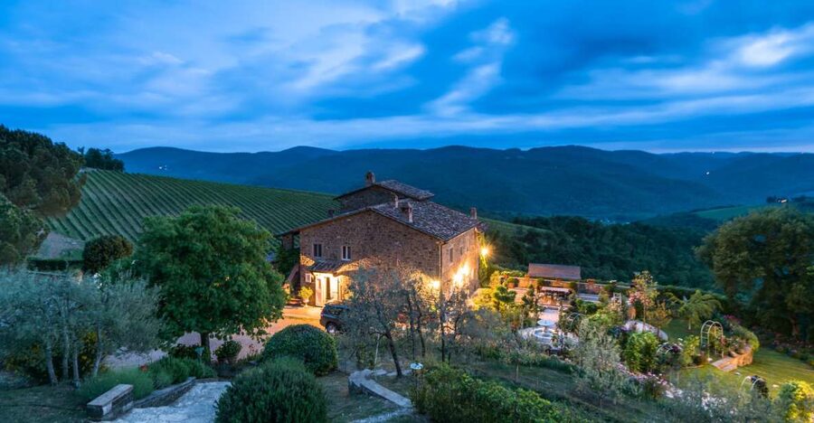 Total Immersion Wine Tour in Chianti - Key highlights you will actually feel