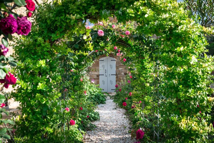 Total Immersion Wine Tour in Chianti - Entering The Estate Near Radda in Chianti