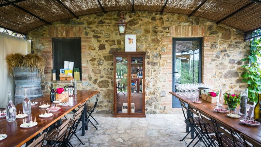 Total Immersion Wine Tour in Chianti - The Tasting Room Mini Course: Smell, Taste, Serve