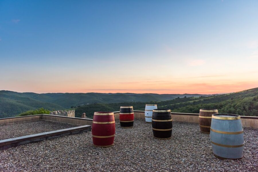 Total Immersion Wine Tour in Chianti - Price and Value for Two Hours in Chianti