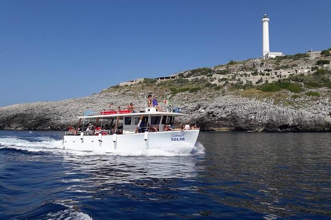 Tour 3h and half visit of all the caves, bathroom stop and aperitif - Aperitif time: friselline, focaccia, fruit, and drinks