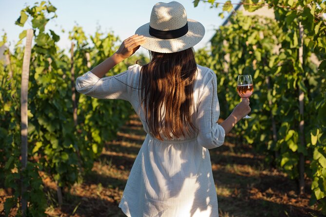 Tour Etna & Wine Tasting - Key highlights at a glance