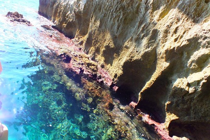 Tour of the island of Ortigia and exploration of sea caves with baths. - Duration, Group Size, and Getting Back in Time
