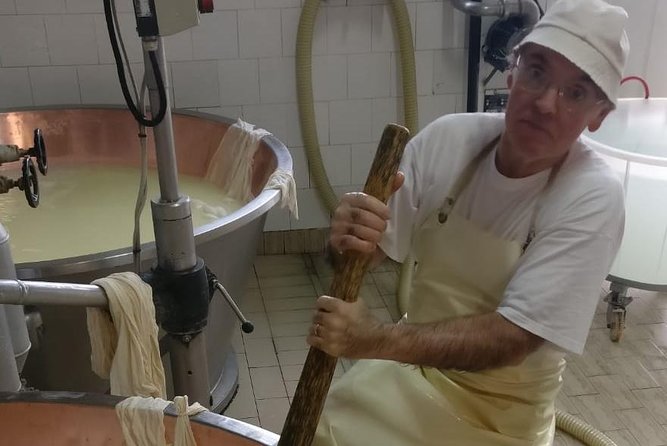 Tour Parmigiano Reggiano dairy and Parma ham - Wine pairing with Parmigiano: making aging easier to taste