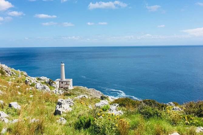 Tour to 4 Towns of Salento: Otranto, Leuca, Gallipoli, Galatina - Practical tips that make your day smoother