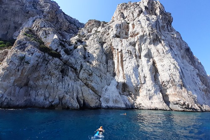 Tour to Figarolo Island with the possibility to observe dolphins - Snorkeling gear provided, and how to make the most of it