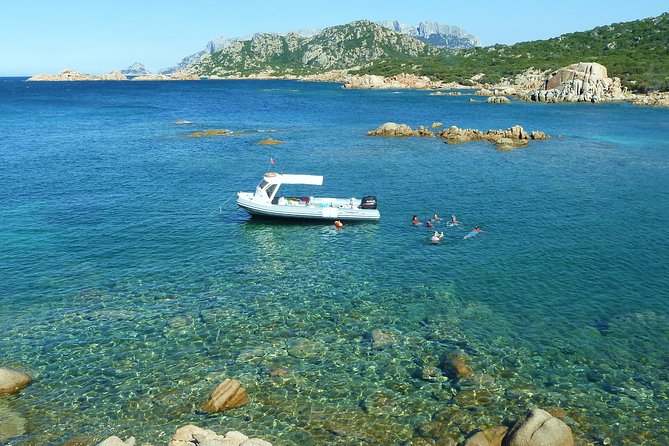 Tour to Figarolo Island with the possibility to observe dolphins - Who should book this dolphin and snorkeling cruise