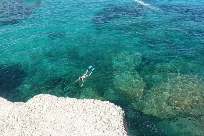 Tour to Figarolo Island with the possibility to observe dolphins - The route: Olbia, Capo Figari, and Cala Moresca (plus wind-driven choices)