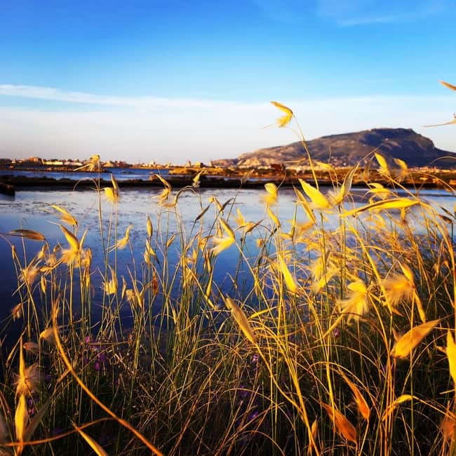 Trapani: 2-Hour Salt Flats Tour - Maria Stella Salt Pans and the Old-Mill Salt Museum
