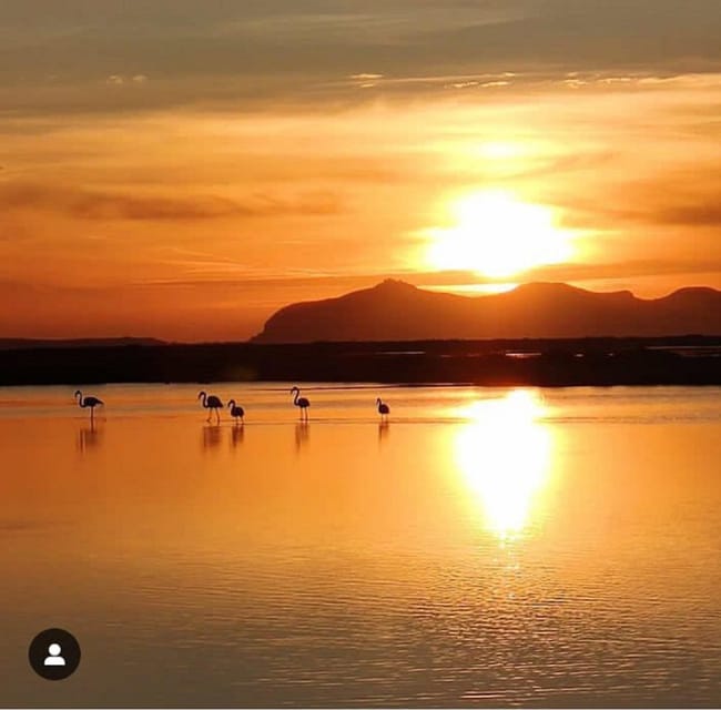 Trapani: Salt Pans Sunset Tour and Flamingo Way - Getting picked up in Trapani, and how the audio keeps you oriented