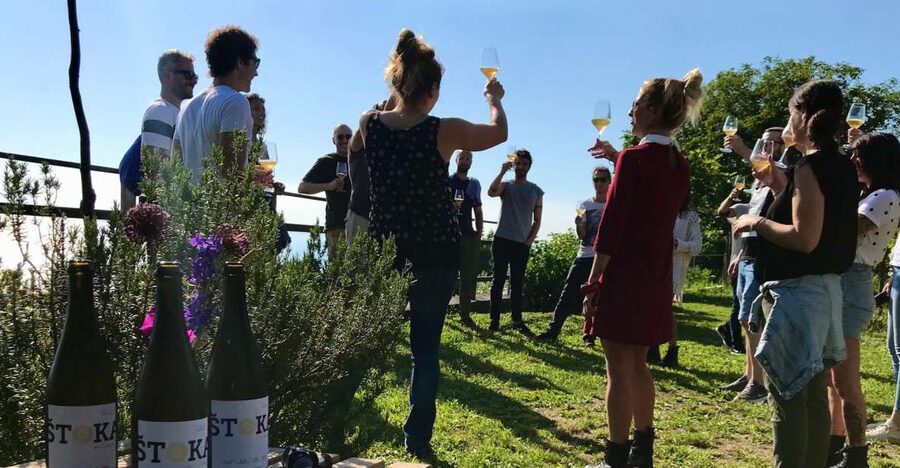 Trieste: 2.5-Hour Prosecco Origins Tour and Tastings - Ancient terraced vineyards by the sea: what “heroic agriculture” really looks like