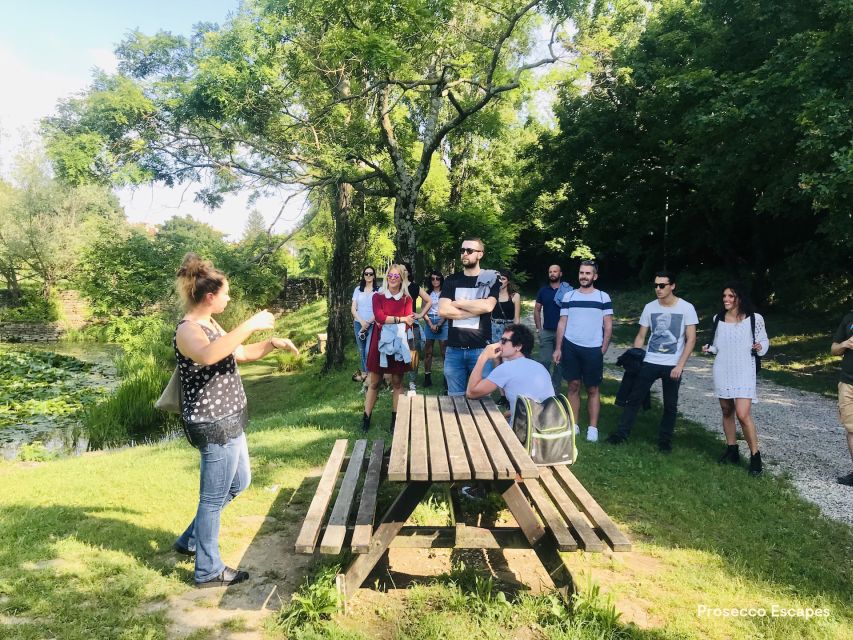 Trieste: 2.5-Hour Prosecco Origins Tour and Tastings - The vineyard break: crisp air, sea views, and a small-group tasting rhythm