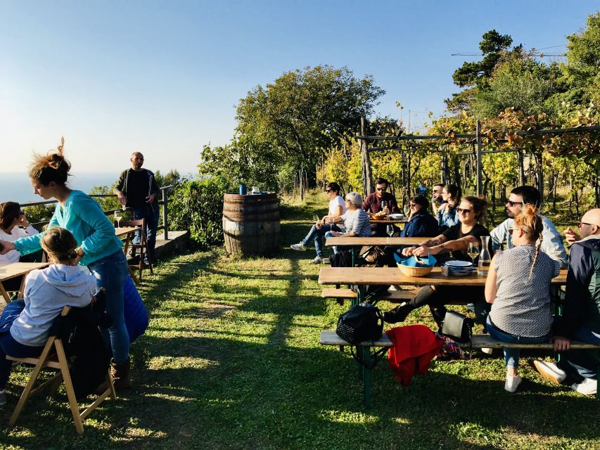 Trieste: 2.5-Hour Prosecco Origins Tour and Tastings - What you taste at Prosecco origins: sparkling wines plus local cheese and cured meats