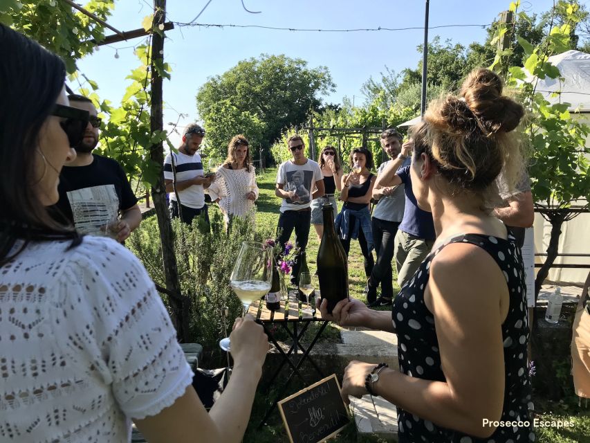 Trieste: 2.5-Hour Prosecco Origins Tour and Tastings - Katrin’s storytelling: history you can see, not just read