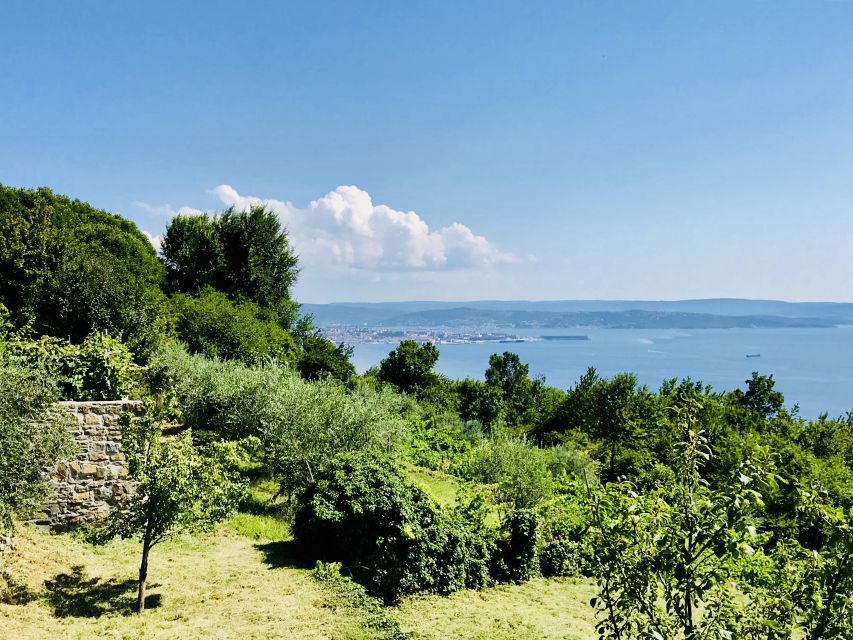 Trieste: 2.5-Hour Prosecco Origins Tour and Tastings - Price and timing: does $71 feel worth it?