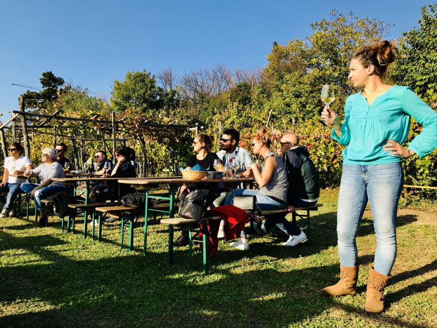 Trieste: 2.5-Hour Prosecco Origins Tour and Tastings - Who should book this Prosecco origins tour