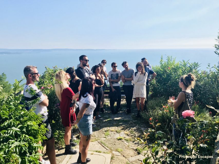 Trieste: 2.5-Hour Prosecco Origins Tour and Tastings - Contovello’s old village walk: narrow streets, hidden corners, castle-time views